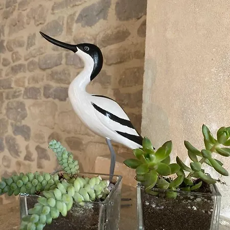 Bed & Breakfast Normand Ver-sur-Mer