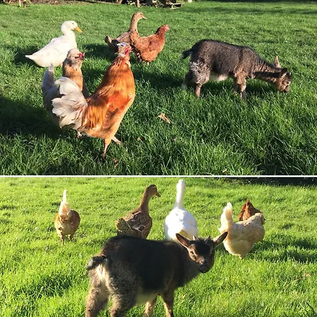 Normand 3* Ver-sur-Mer