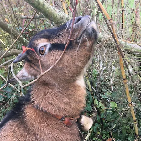 Normand 3* Ver-sur-Mer