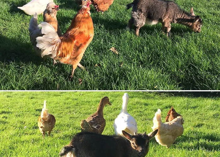 Normand 3* Ver-sur-Mer