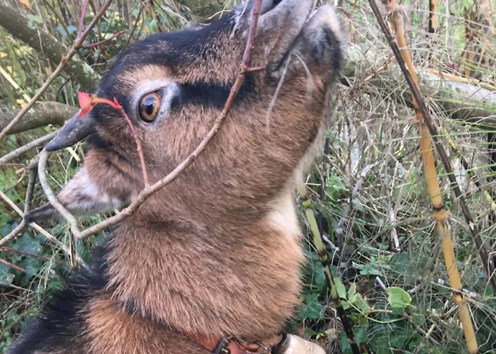 Normand 3* Ver-sur-Mer