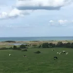 Normand