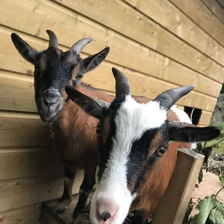 Normand Bed & Breakfast 3*