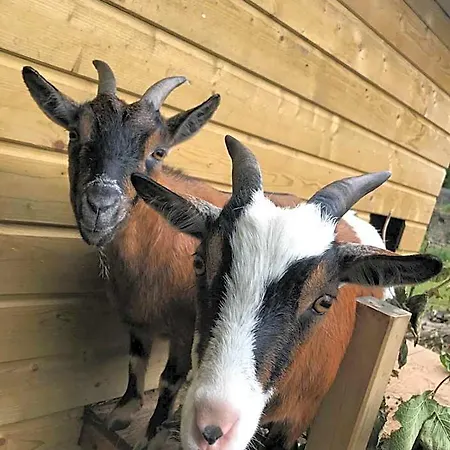Normand Frühstückspension 3*