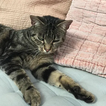 Normand 3* Ver-sur-Mer