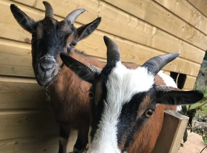 Normand Bed & Breakfast 3*