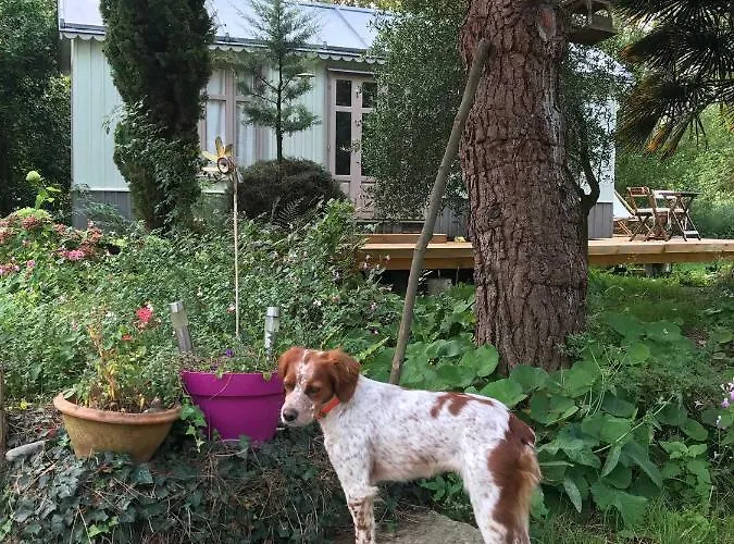 Normand 3* Ver-sur-Mer