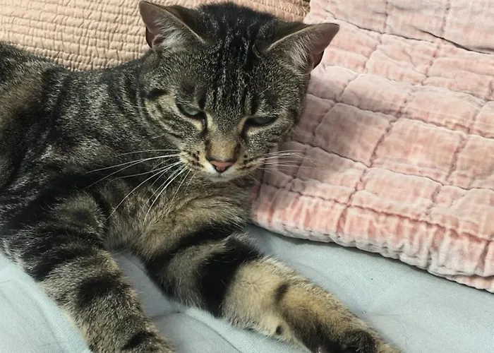 Normand 3* Ver-sur-Mer